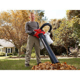 Toro – 150 MPH 460 CFM 25.4cc 2-Cycle Handheld GAS Leaf Blower Vacuum