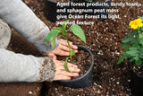 FoxFarm Ocean Forest Potting Soil Mix Indoor Outdoor for Garden and Plants | Plant Fertilizer | 12 Quarts (4 Pack) | The Hydroponic City Stake