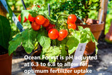 FoxFarm Ocean Forest Potting Soil Mix Indoor Outdoor for Garden and Plants | Plant Fertilizer | 12 Quarts (4 Pack) | The Hydroponic City Stake