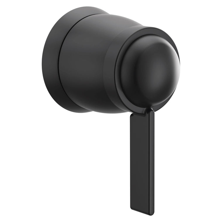 Moen T4622 Cia Single Handle Volume Control Valve Trim – Matte Black